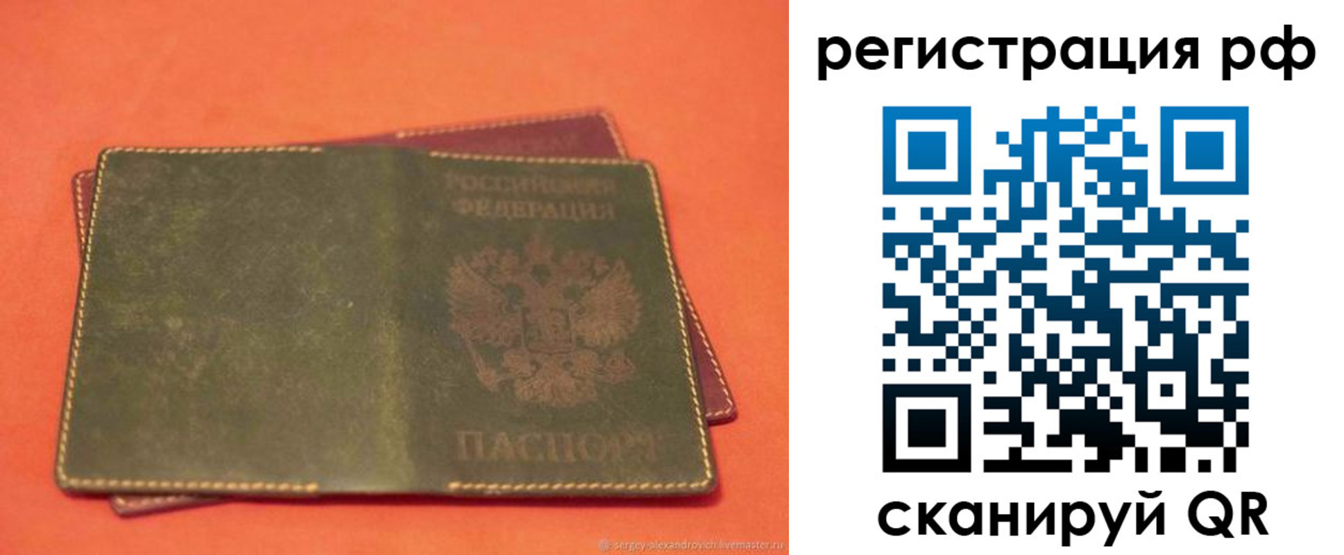 прописка 2025 в Полярных Зорях